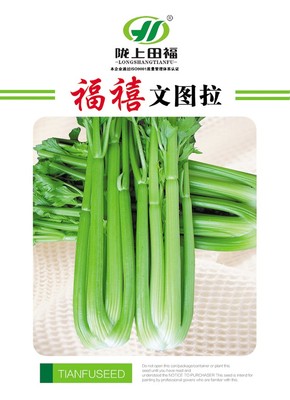 福禧文图拉芹菜种子阳台大田蔬菜种子四季易种家庭盆栽园艺(10包装）