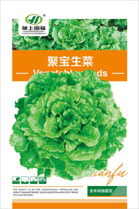 聚宝生菜生菜种子阳台大田蔬菜种子四季易种家庭盆栽园艺
