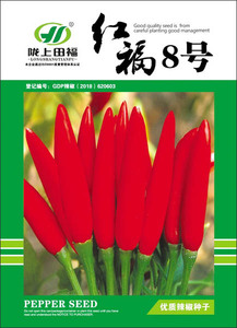 红福8号辣椒种子阳台大田蔬菜种子四季易种家庭盆栽园艺